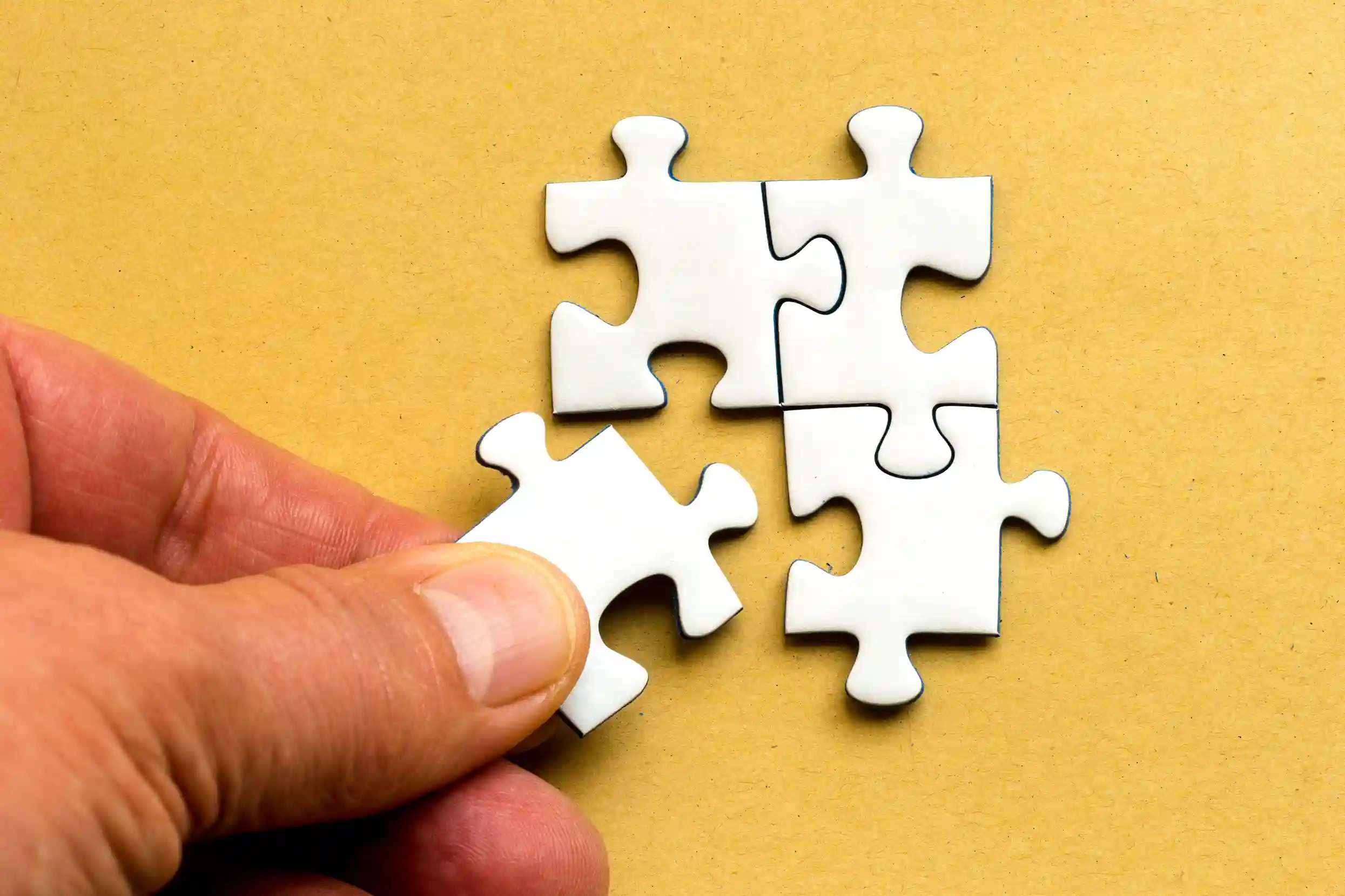 Conflict Resolution & Mediation